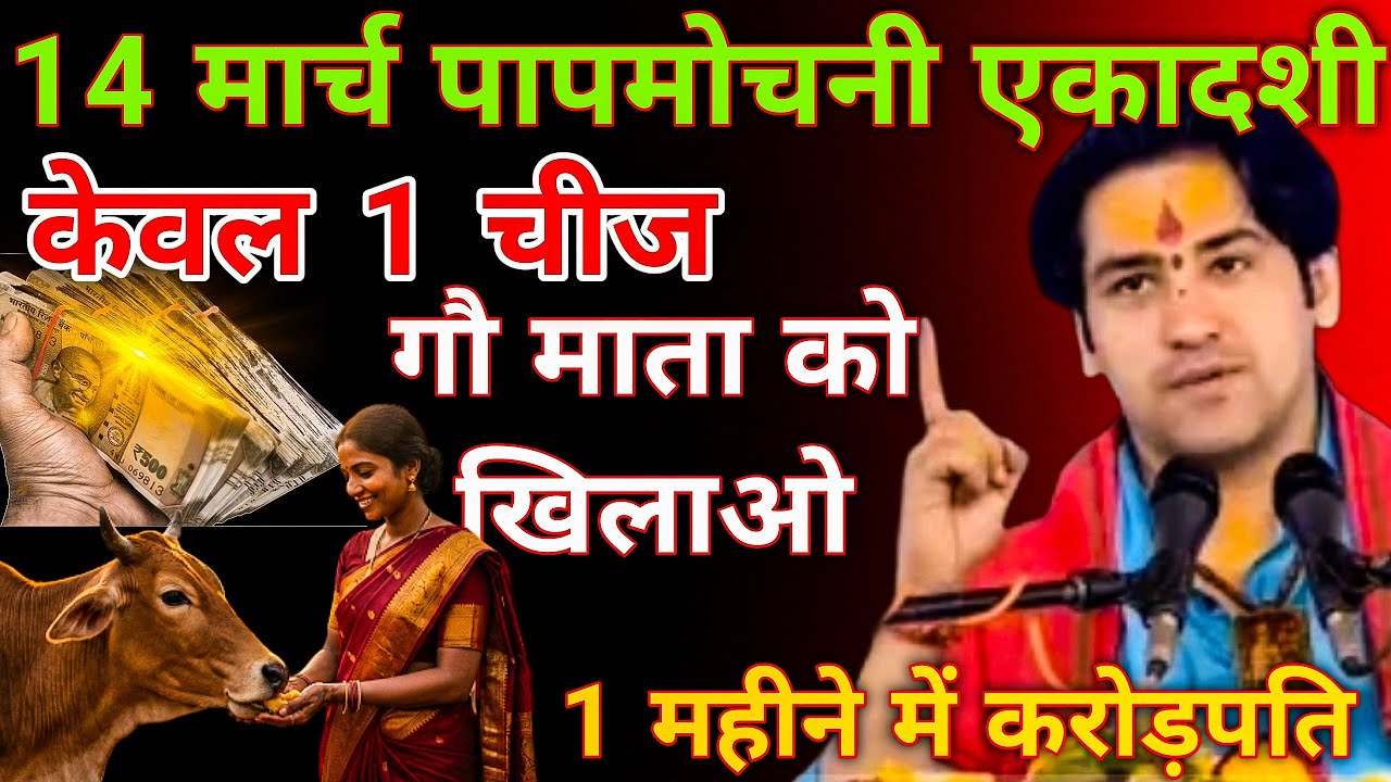 सिर्फ 1 ही चीज गाय को खिला देना, फिर 1 महीने में छापर फाड़| Bageshwar Dham 