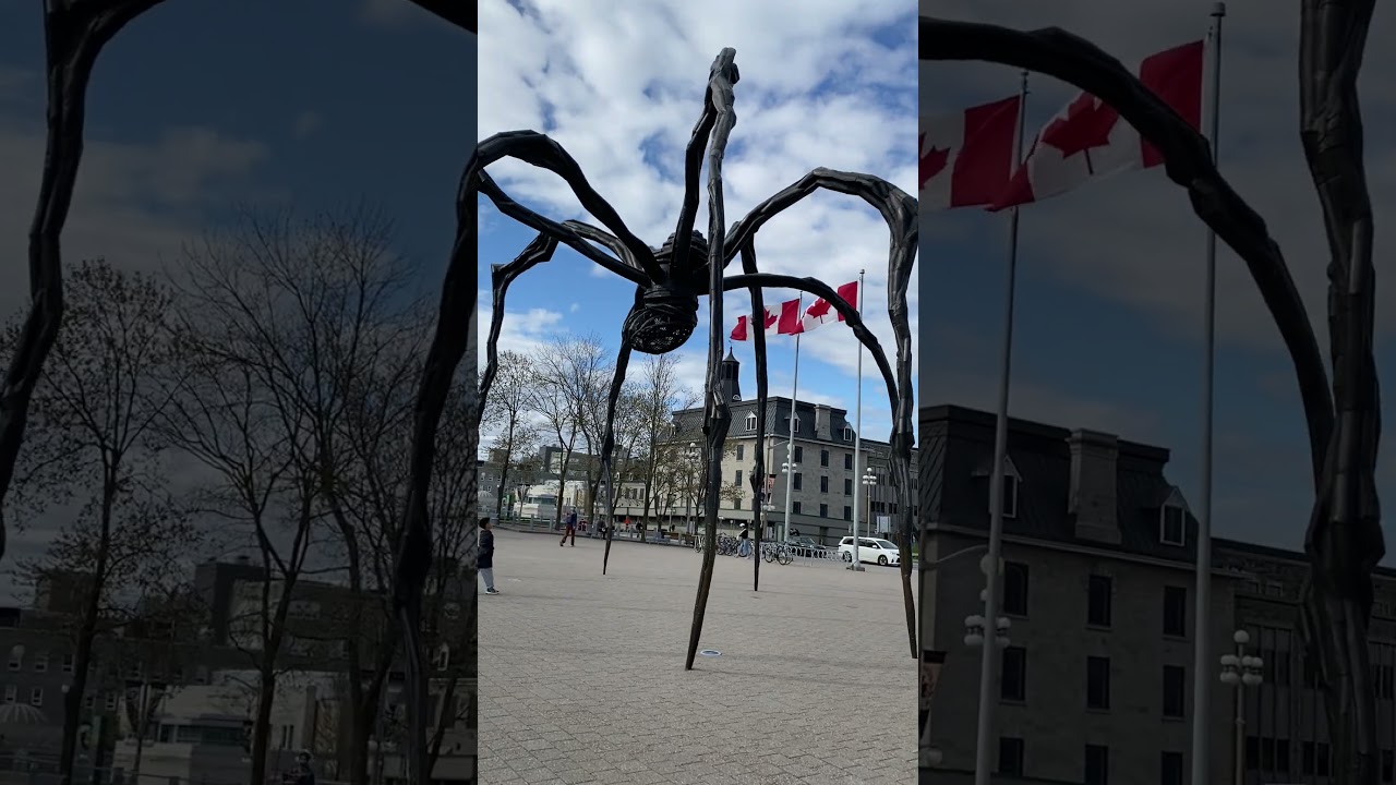 POV: casually walking in Ottawa… then this appears 🕷️🇨🇦🌿 