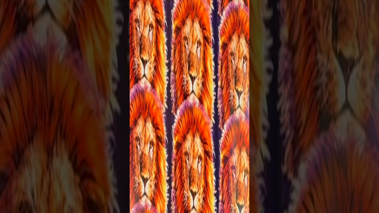 😎BIG WIN😎King of Africa Slot 