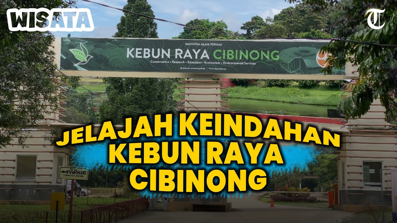 JELAJAH KEINDAHAN Kebun Raya Cibinong, Tempat Asyik Buat Healing Bisa Sambil Belajar Menanam Pohon