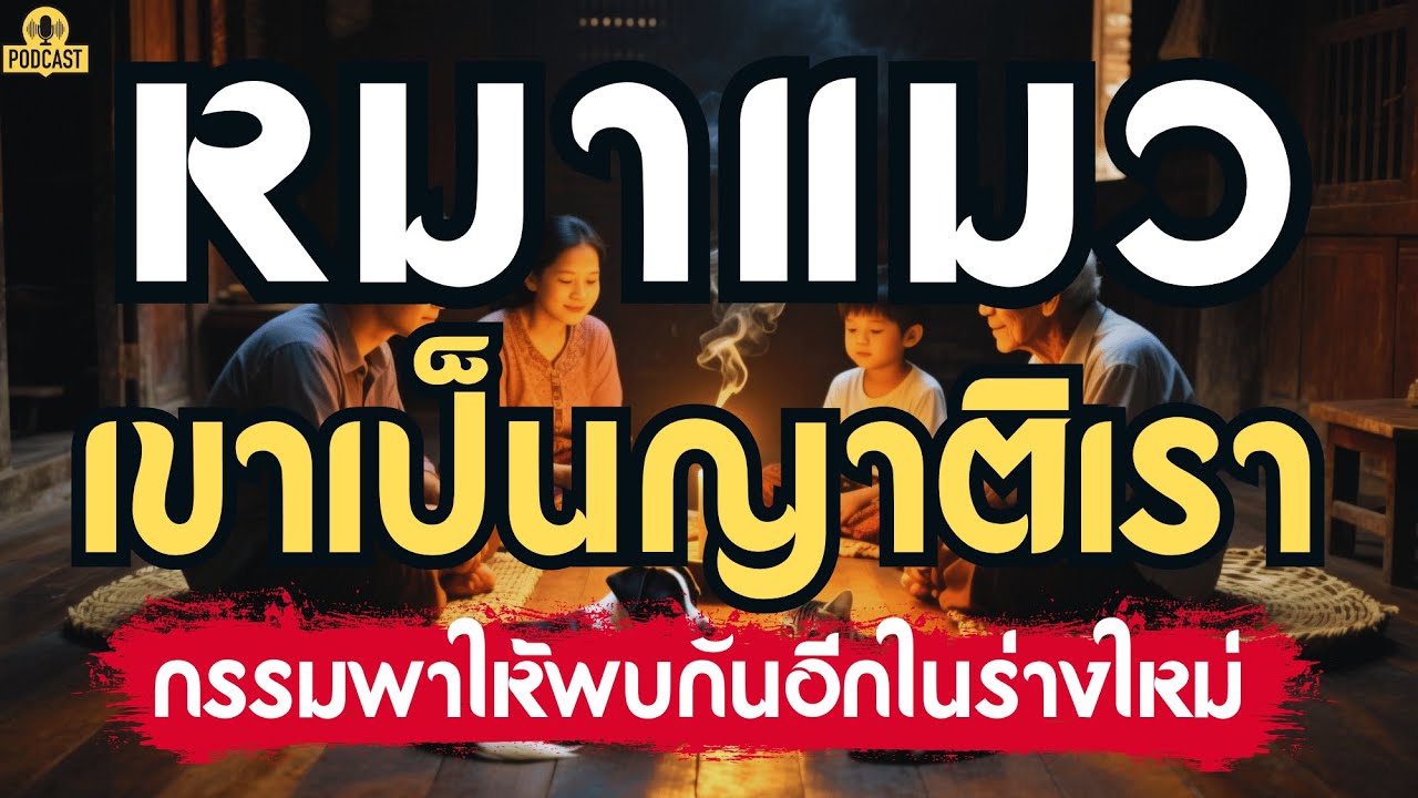 หมาแมว...อาจเคยเป็นญาติเราในชาติที่แล้ว กรรมพาให้พบกันอีกในร่างใหม่ | เรื่องเล่าชาติสุดท้าย