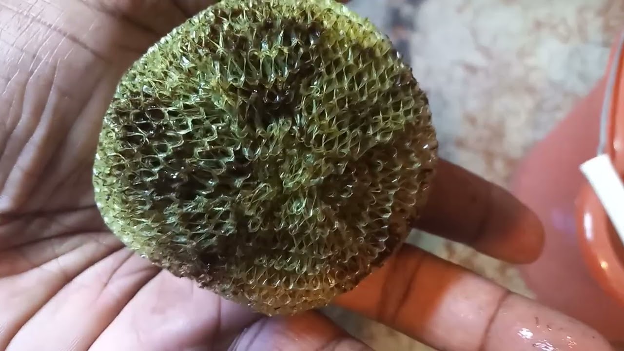 Pot scrubbers for your aquarium filter do work!