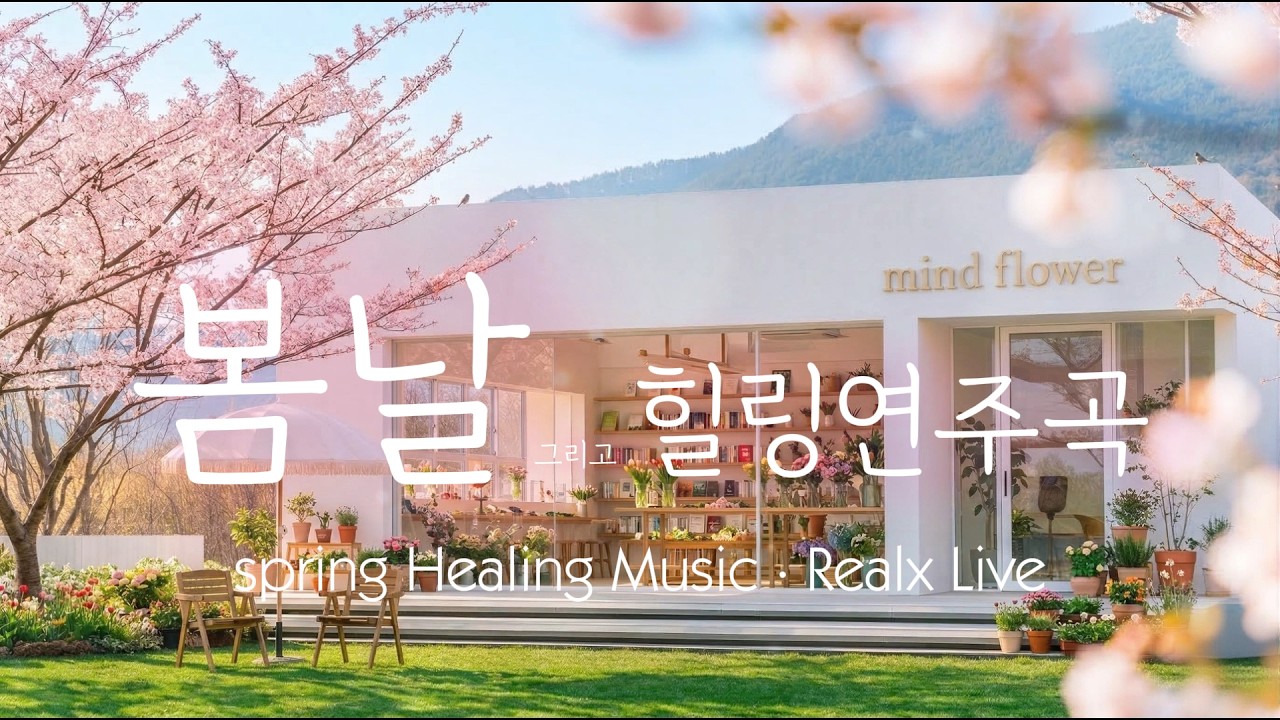 🔴LIVE 🌸봄이 오는 소리｜나를 위한 쉼표☕Acoustic & Piano LIVE