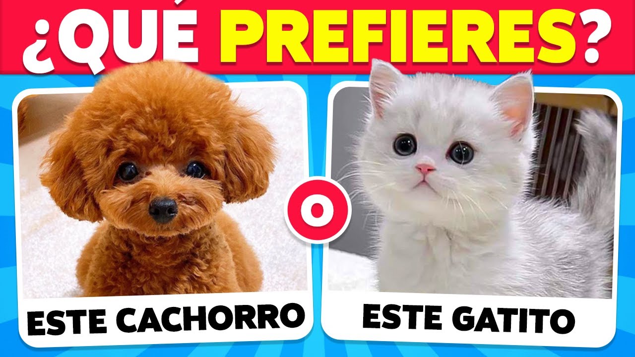 ¿Qué Prefieres? Edición ANIMALES 🐶😺 Super Quiz