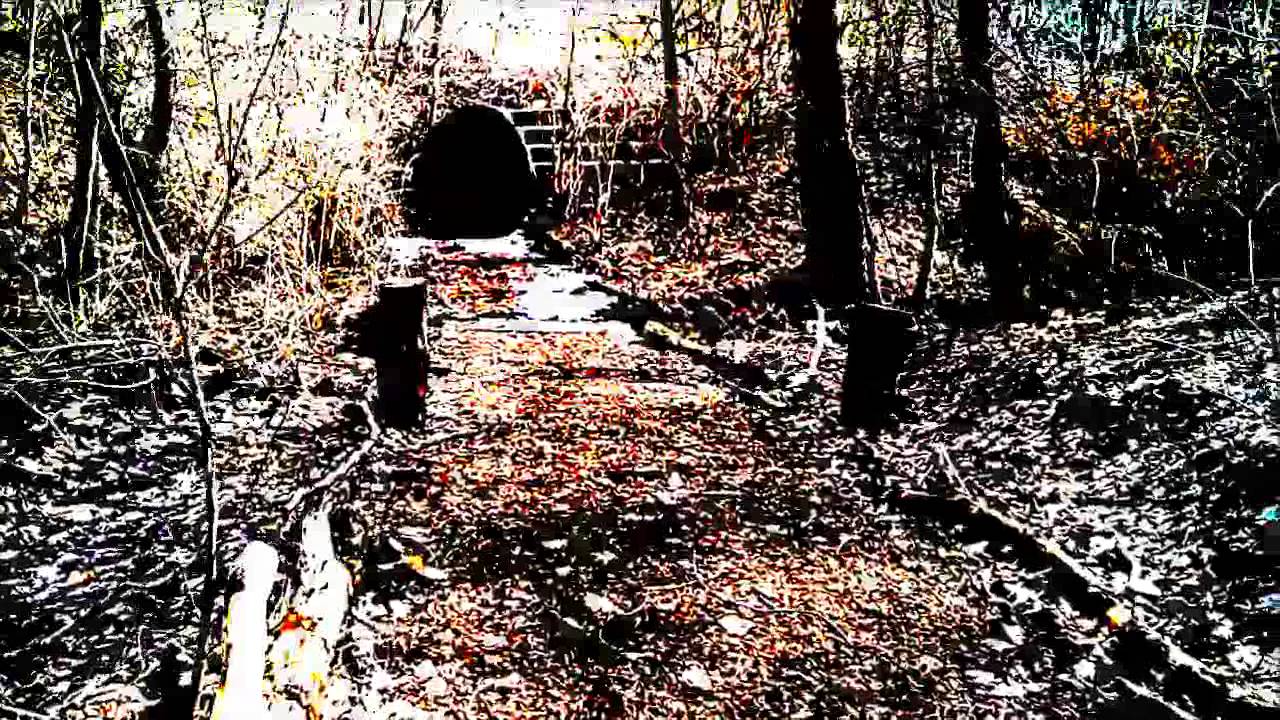 A Quiet Stroll
