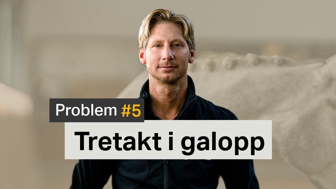 Träna med Patrik S1E5 Takt Tretakt i galopp