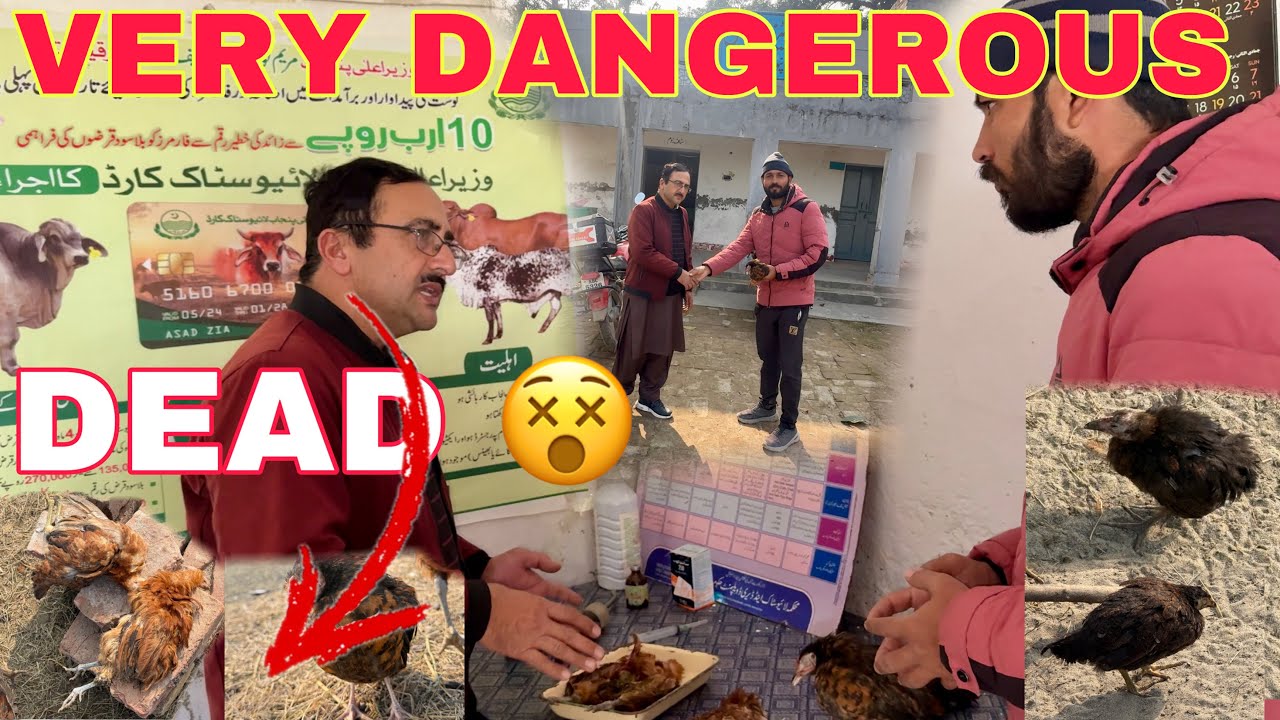 Dangerous Disease 🦠 In Open Farm First Time | Very Panic Attack 😱 | Mr Asad