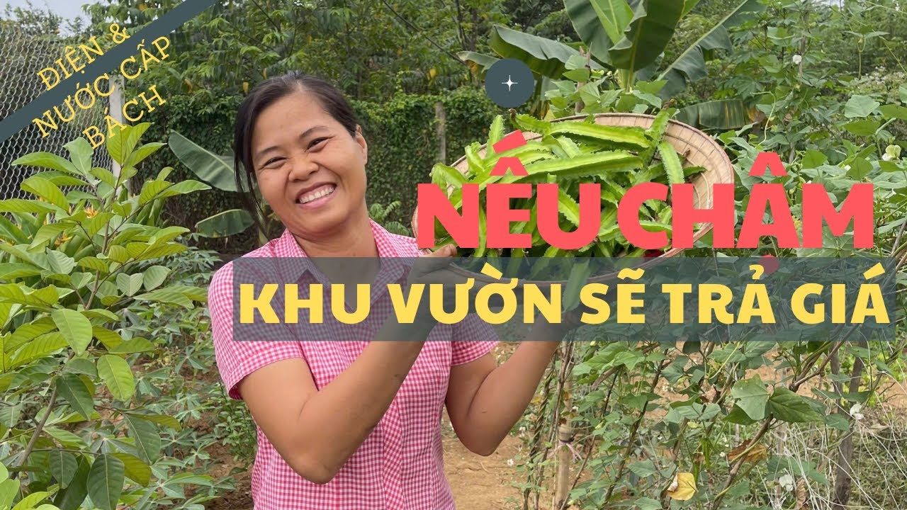 Điều ưu tiên đầu tiên khi lập khu vườn