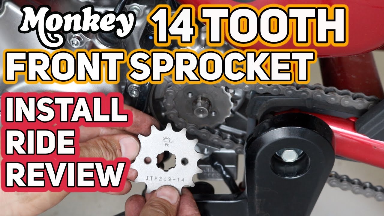 2019 Honda Monkey 14T Front Sprocket Install/Ride/Review