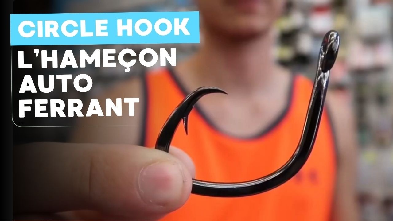 Hameçons Auto ferrant / circle hook