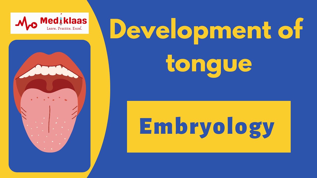 Development of tongue- A quick tour