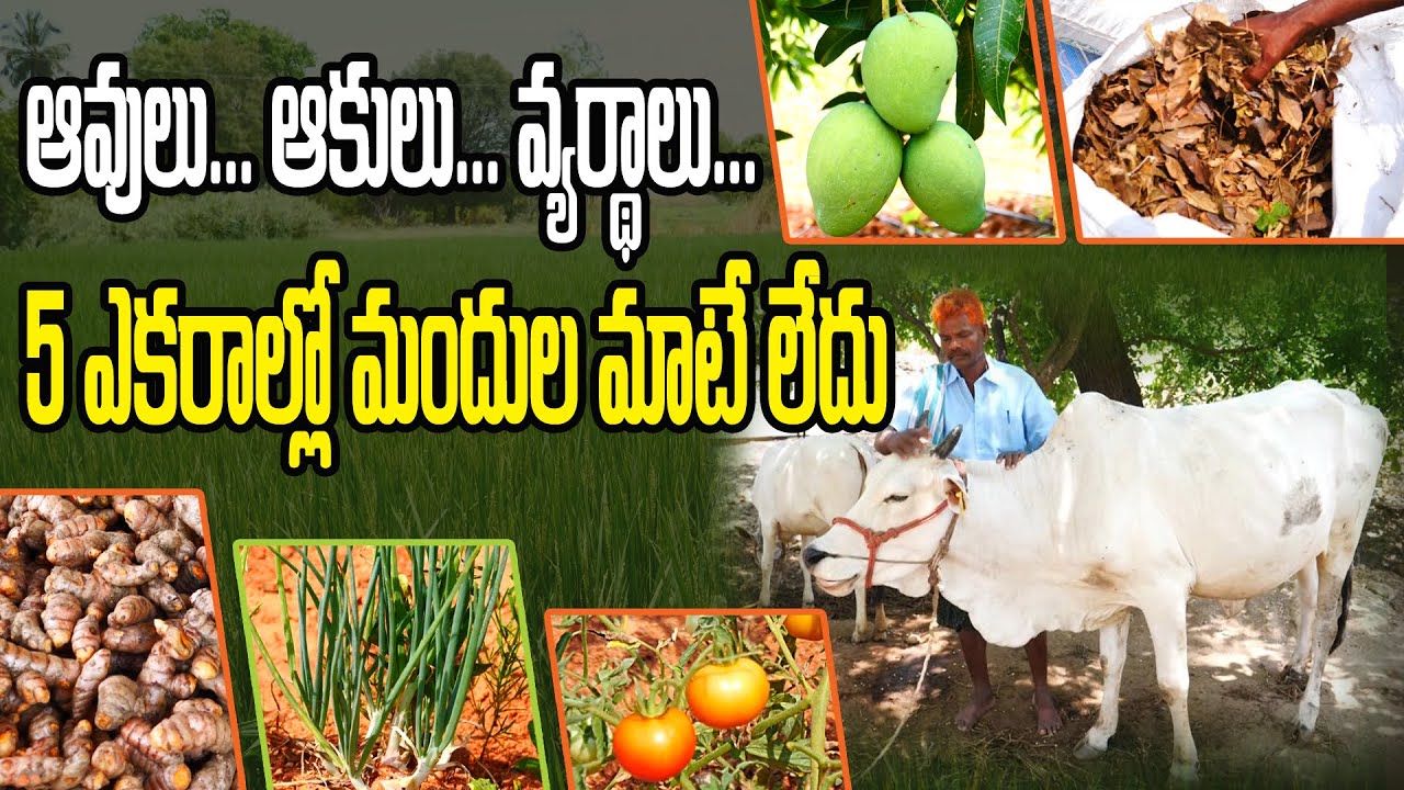 13 ఏళ్లుగా  5 ఎకరాల్లో.. | వీలైనన్నీ ఎక్కువ పంటల సాగులో..  | Profitabel farming | G Gangulappa