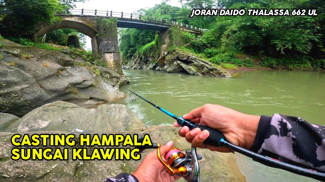 CASTING HAMPALA DI SUNGAI KLAWING PURBALINGGA PAKAI JORAN DAIDO THALASSA