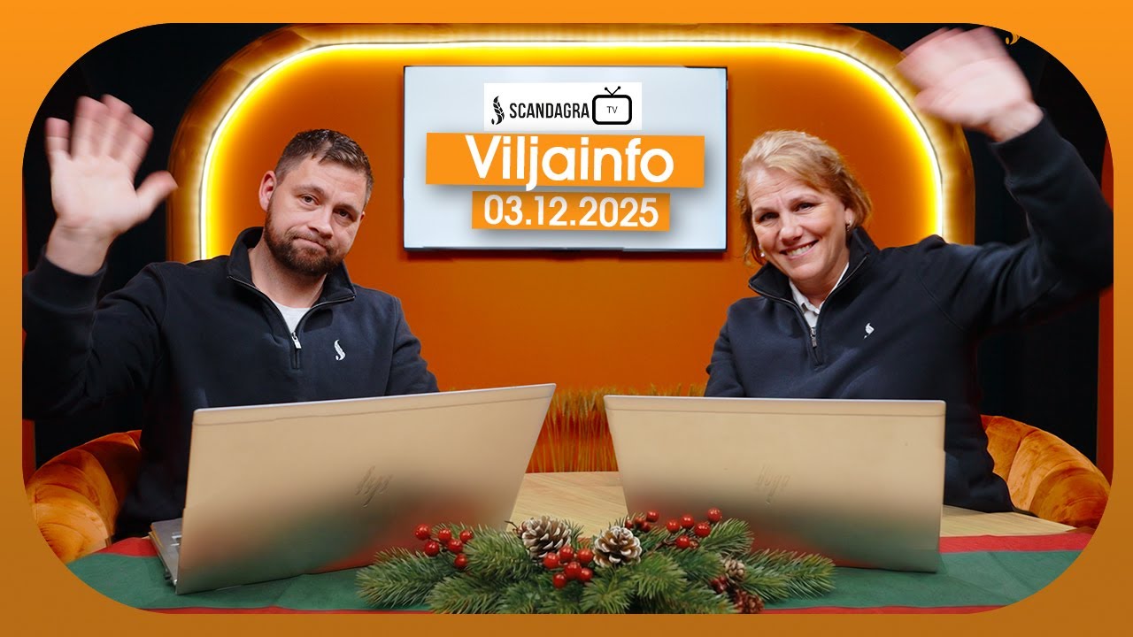 Scandagra VILJAINFO 03.12.2025