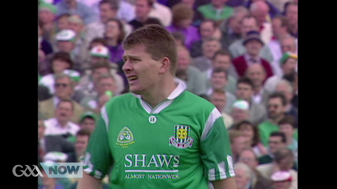 1994 All-Ireland Senior Hurling Final: Limerick v Offaly
