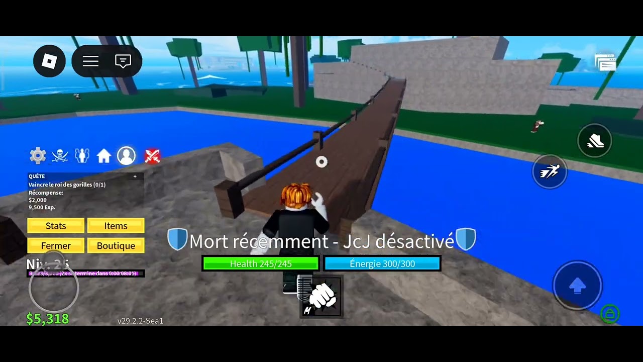 On joue a blox fruìt pour grind le compte 