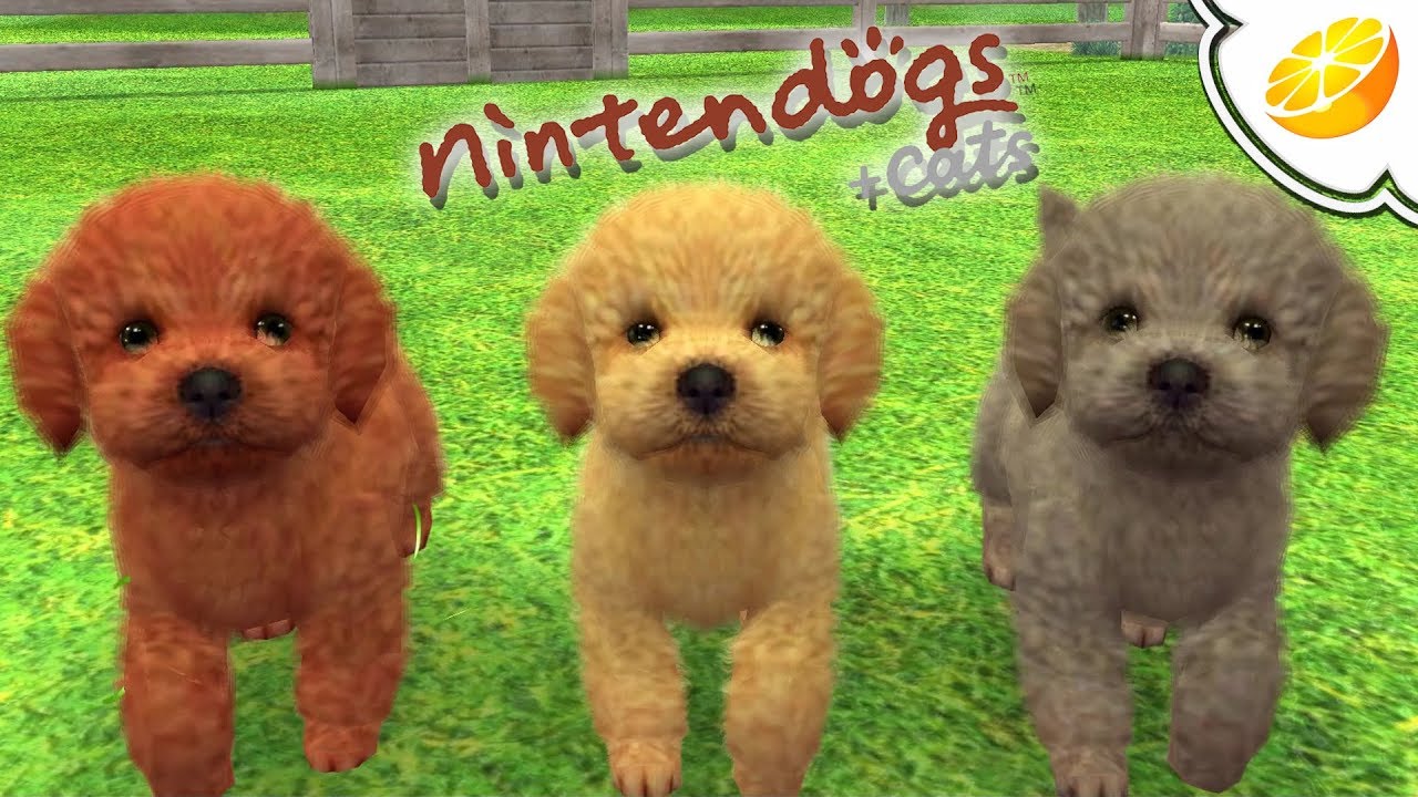 Nintendogs + Cats: Toy Poodle & New Friends | Citra Emulator Canary 451 (GPU Shaders) | Nintendo 3DS