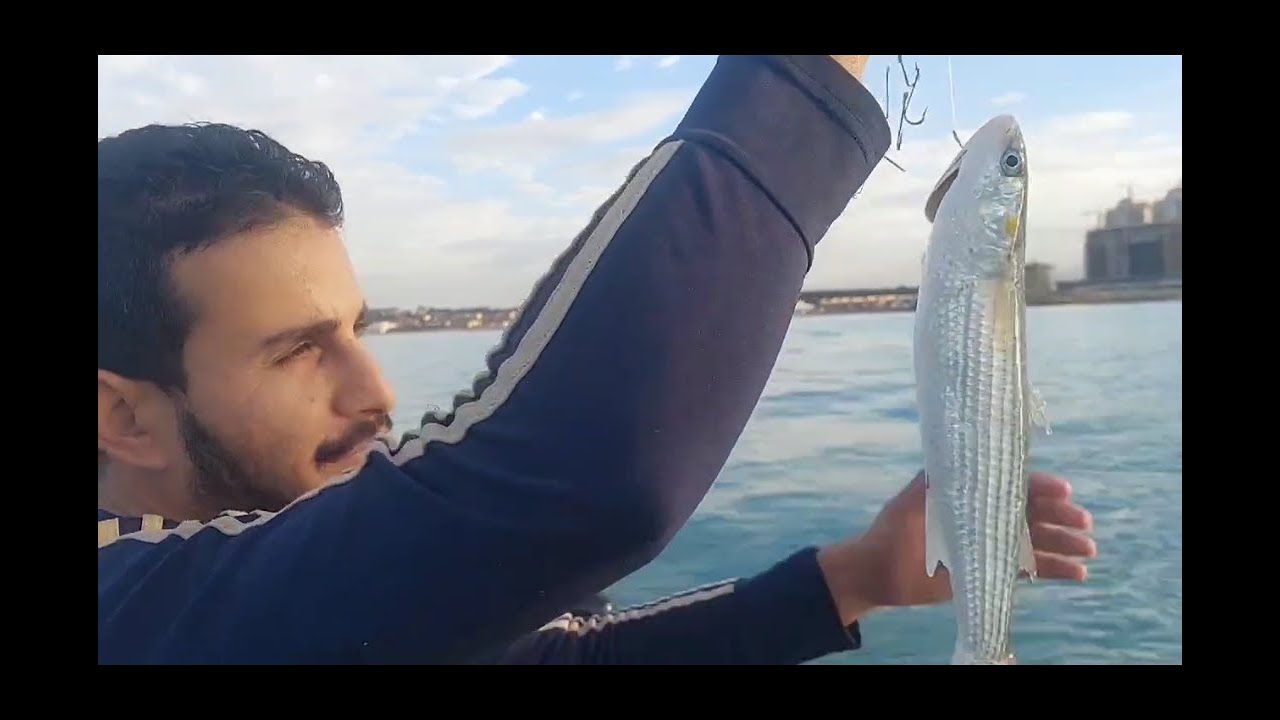 صيد السمك في الجزائر 2024 صيد سمكة الكحلة و البوري la pêche en algérie DZlures