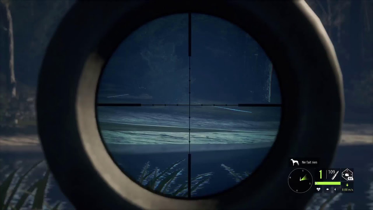 Call of the wild