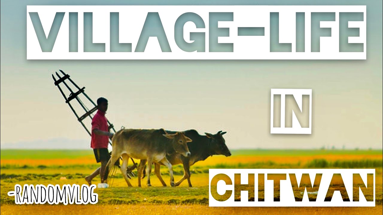 Village life in Chitwan|| Gitanagar|| Part-1|| Nepal