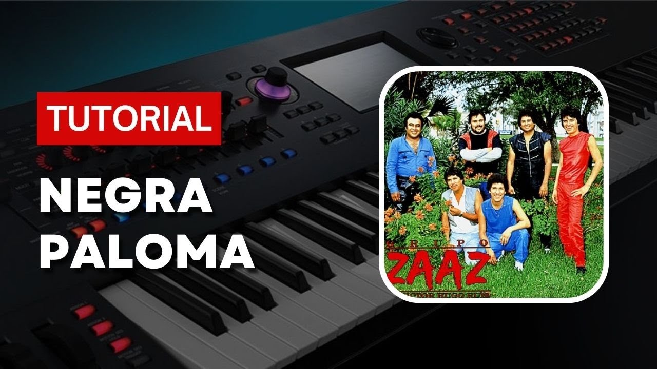 Negra Paloma - Zaaz | Tutorial Teclado
