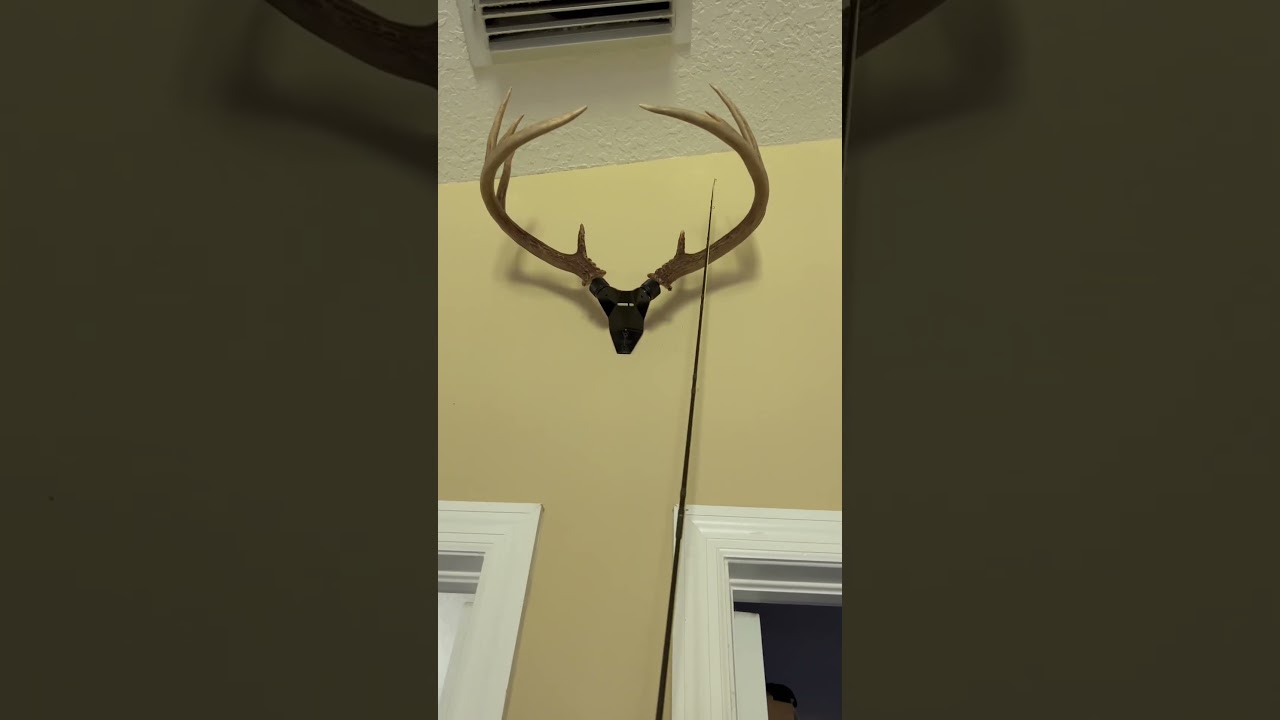 Useful Deer antlers
