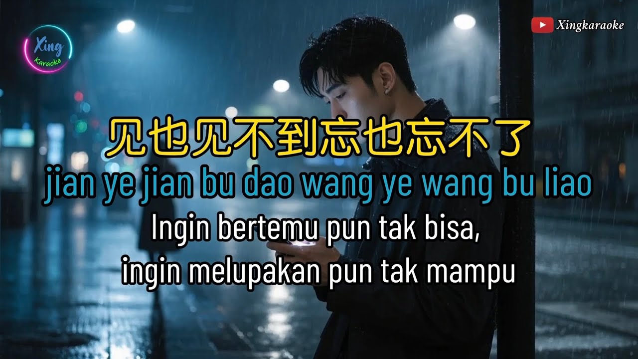 Jian Ye Jian Bu Dao Wang Ye Wang Bu Liao KARAOKE 🎵见也见不到忘也忘不了🎵刘晓超🎵Cover