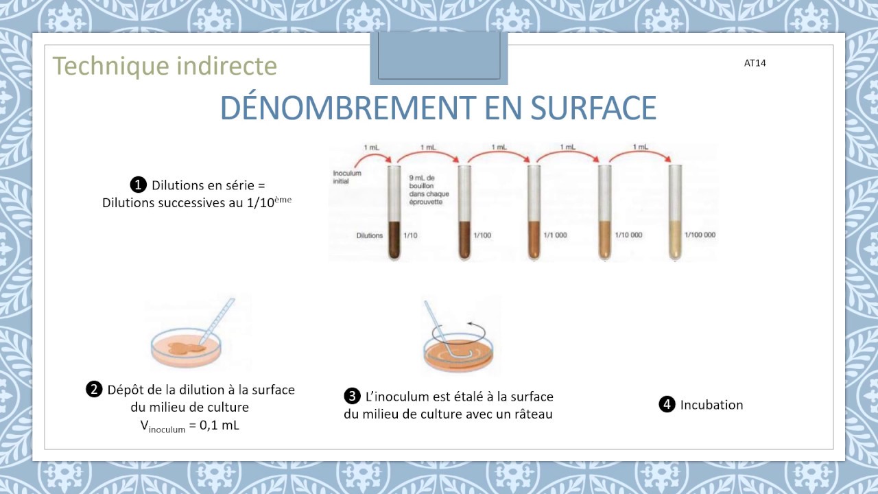 Dénombrement