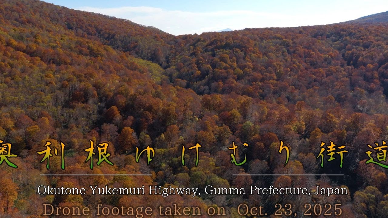 紅に染まる山里 「 奥利根湯けむり街道」の紅葉を空撮Okutone Yukemuri Road in Autumn – A Drone View of Japan’s Fiery Mountains