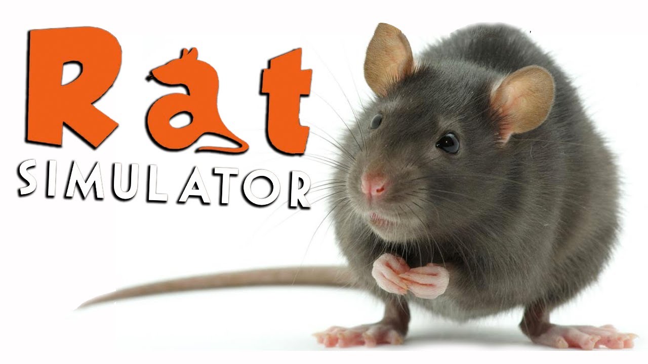 KILLER RAT!!! - Rat Simulator