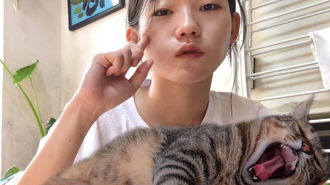 고양이와 산다, 멍게 비빔밥