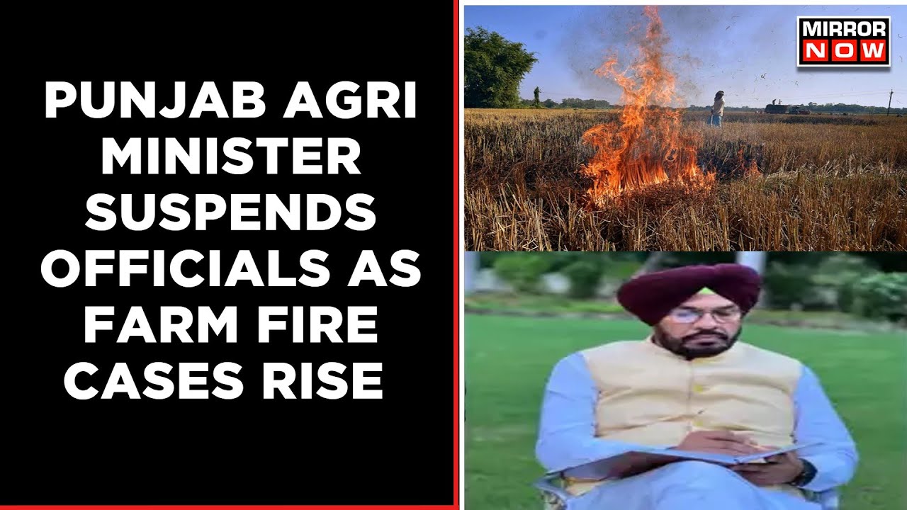 Punjab Agriculture Minister Suspends Four Senior Officials , Farm Fire Cases Rise In The State