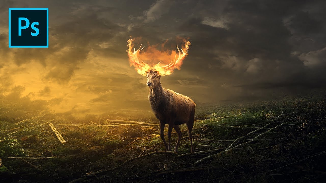 Deer on Fire - Photoshop Surreal Manipulation Tutorial
