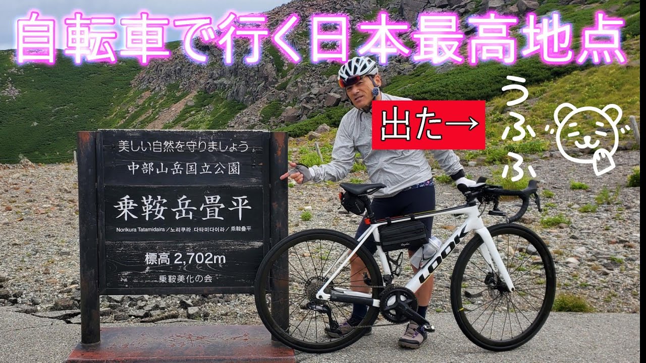 乗鞍でクマと遭遇【ロードバイク】あ～夏休み