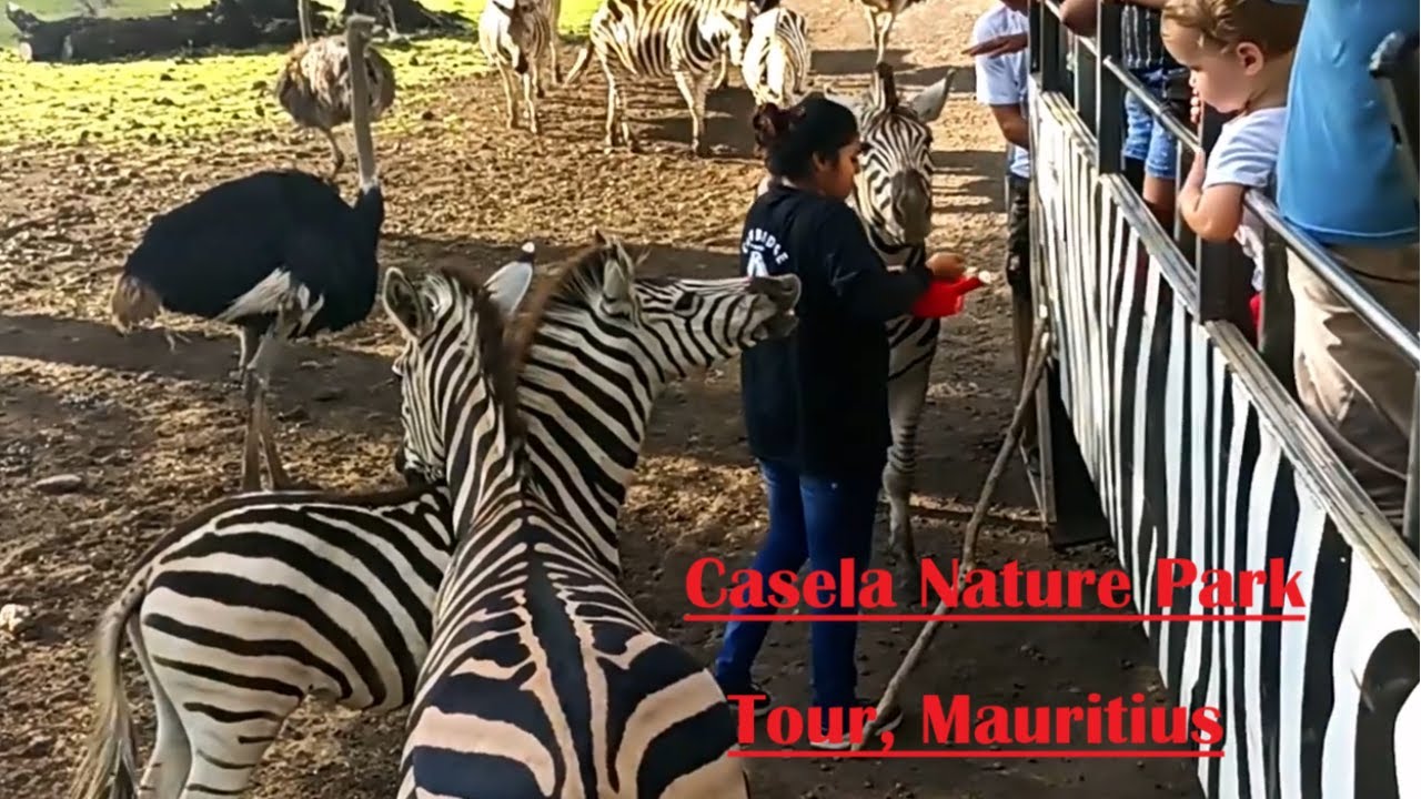 Mauritius- Casela- Nature Park- A lovely place hidden in greenery with amazing African wild life