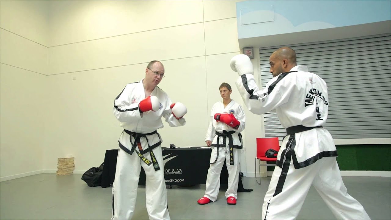 ITF Taekwon-Do_Master Don Dalton Sparring Seminar Clip 1
