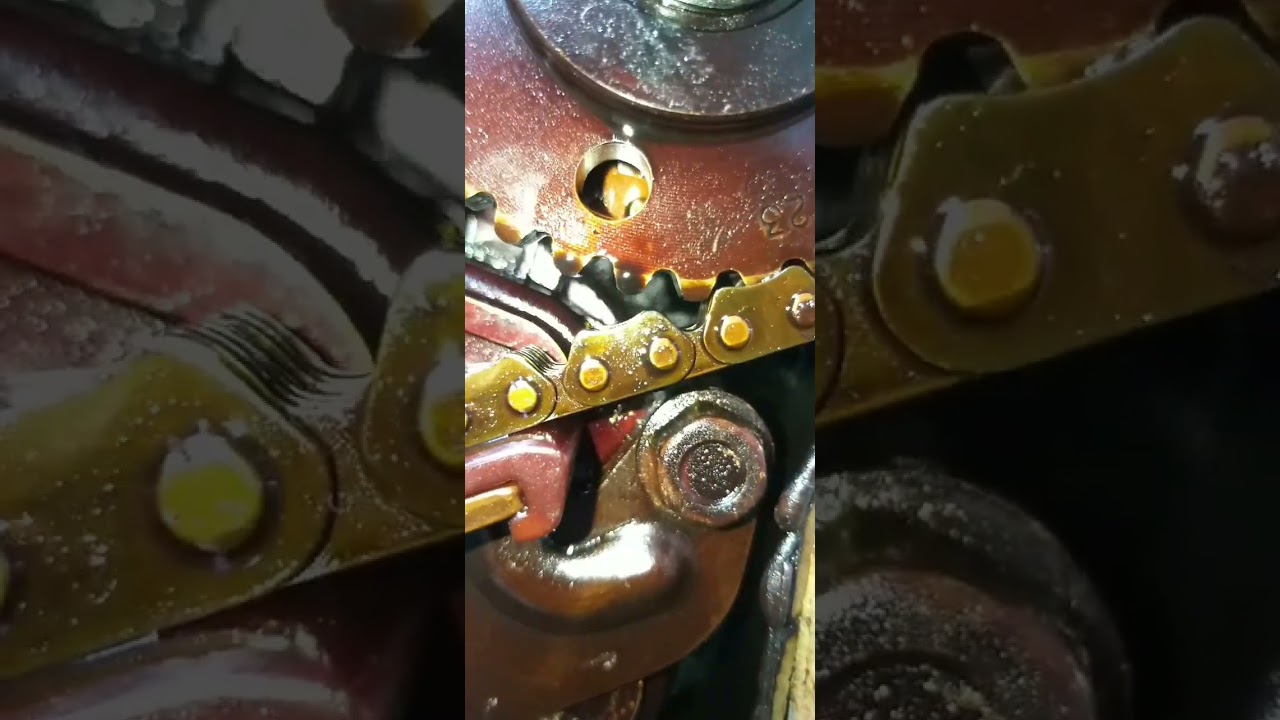 Holden captiva timing chain replacement.