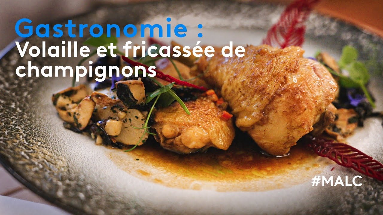 Gastronomie : volaille et fricassée de champignons