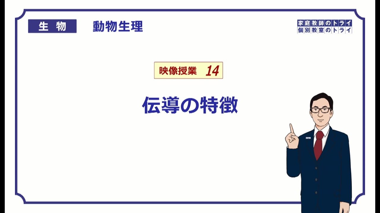 【高校生物】　動物生理14　伝導の特徴（２１分）
