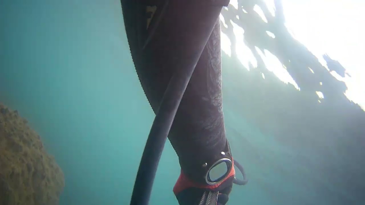 Seferihisar Zıpkınla Balık Avı / Şubat 2026 - 1 / Spearfishing