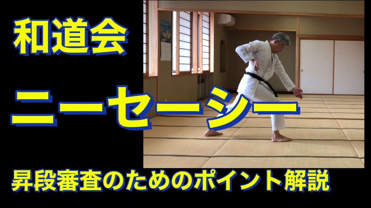 和道会 ニーセーシー 形ポイント解説