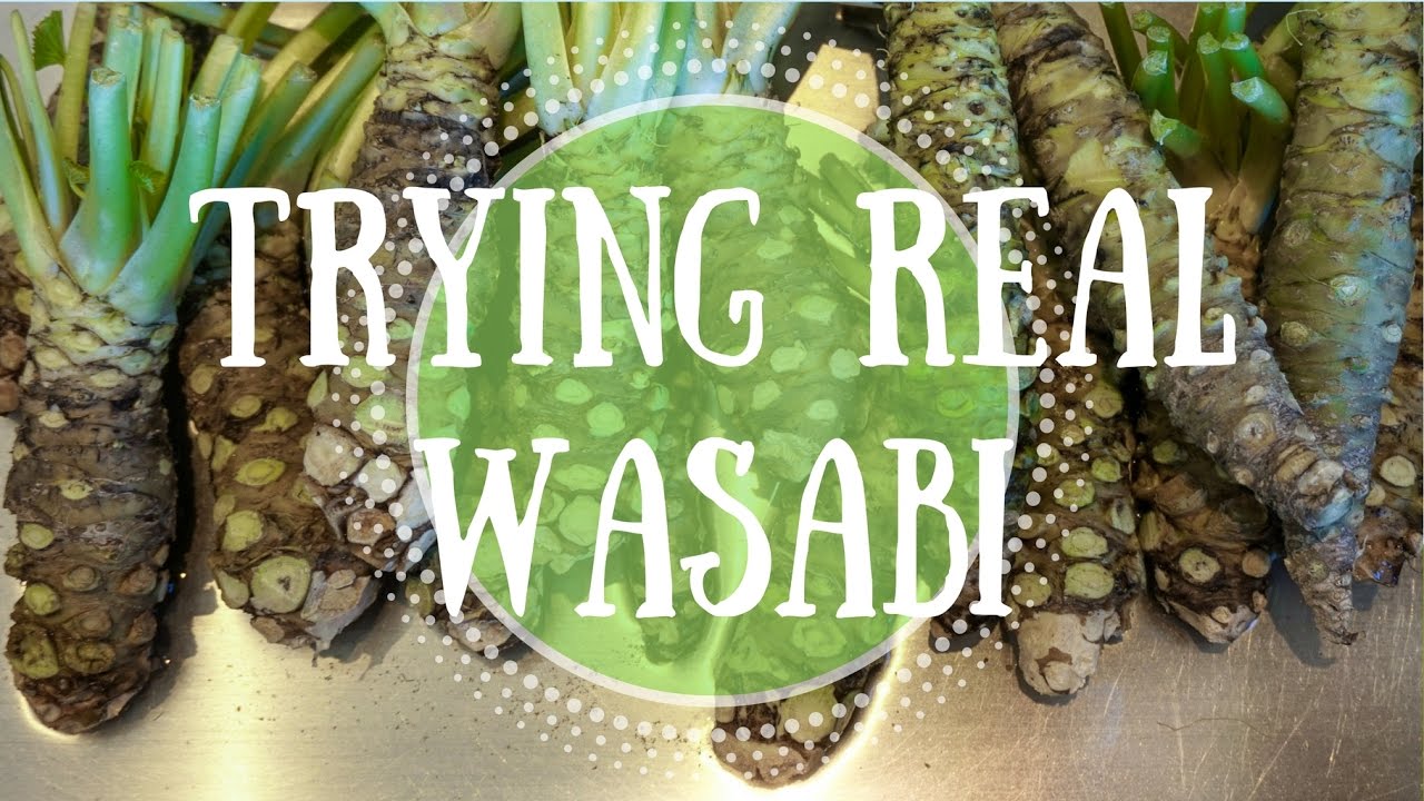 Daio Wasabi Farm: Where to try REAL wasabi in Japan