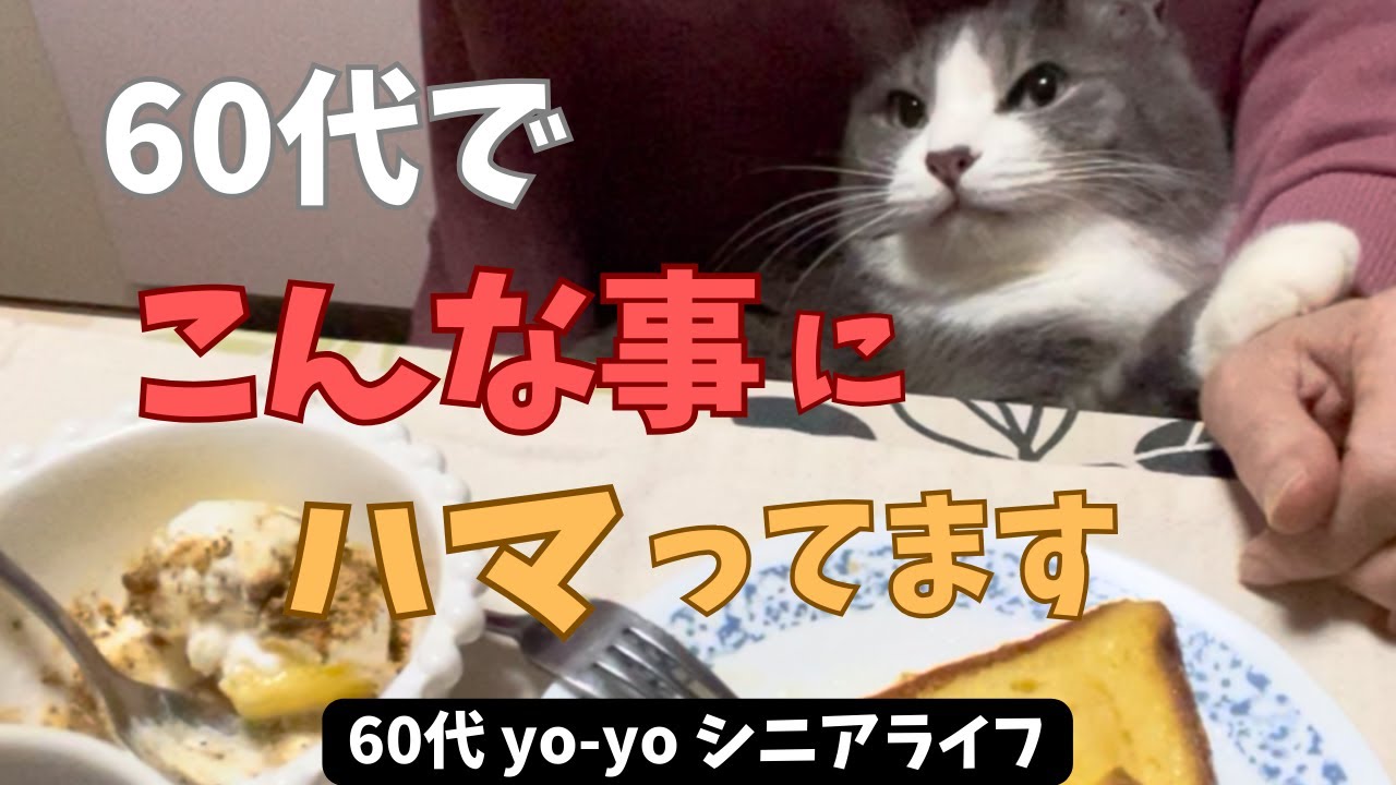 【60代yo-yoの日常】60代でハマったこと/猫との暮らし/編み物/モチーフ/フレンチトースト/コーヒー/紅茶/ONE PIECE/シニアライフ/アラカン