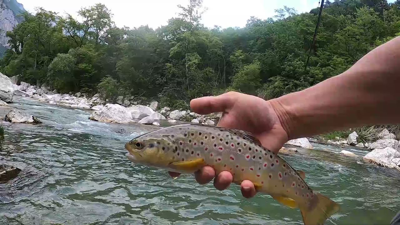 Fly Fishing Alps - I colori del Sarca