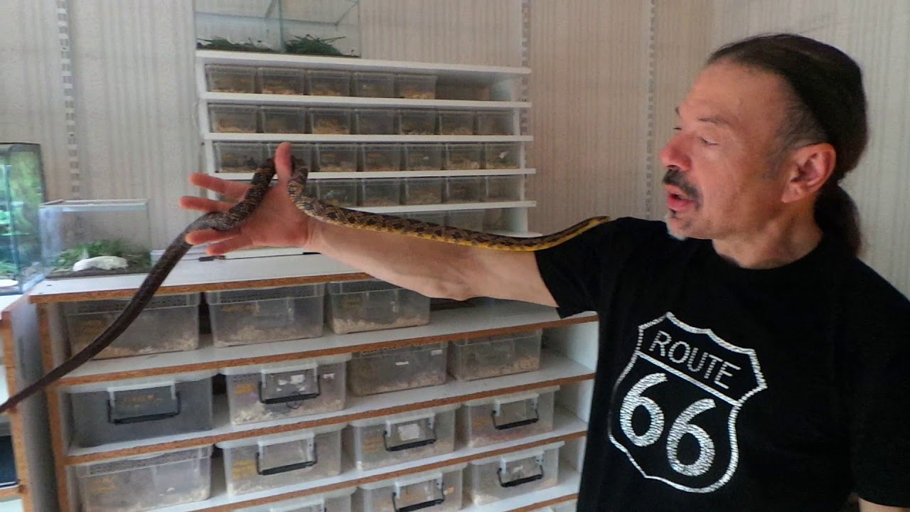 Visite de l'élevage de Richard Dijoux épisode 10