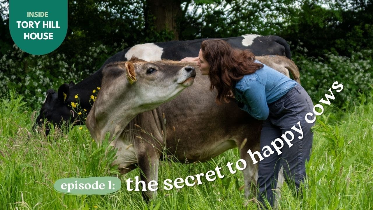 The Secret To Happy Cows | Inside Tory Hill House - Episode 1