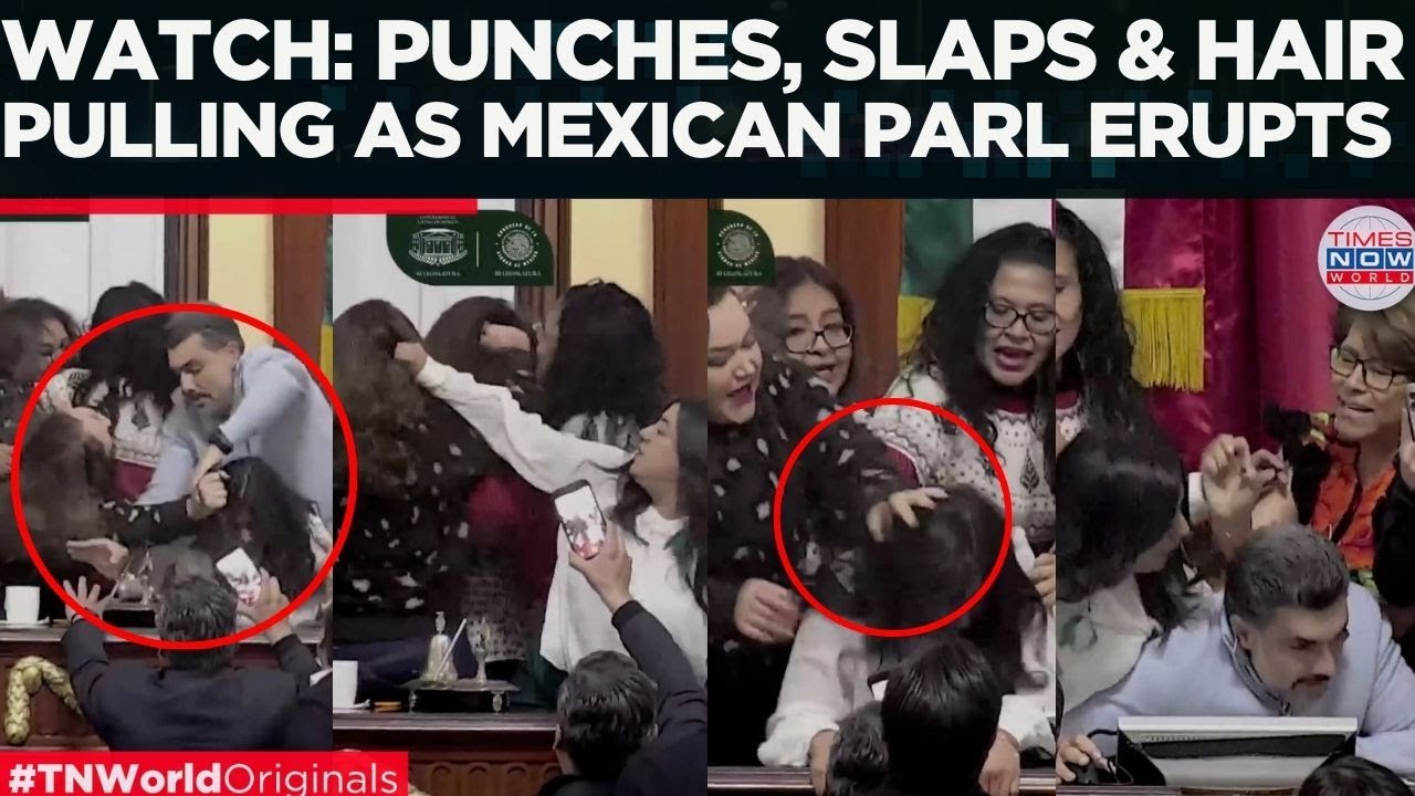 VIRAL PARLIAMENT FIGHT: FEMALE Lawmakers Pull Hair, Shove Rivals in Mexico City | World News