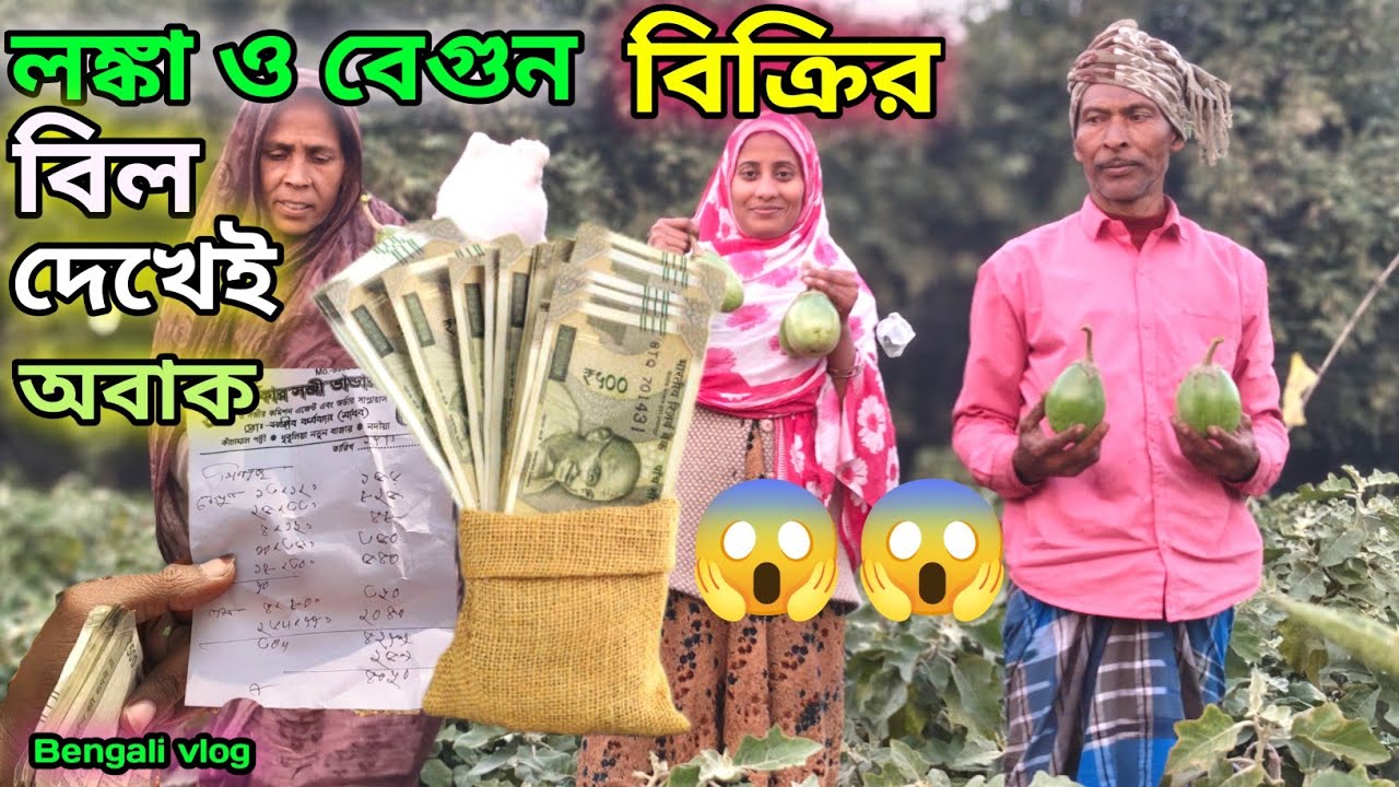 লঙ্কা ও বেগুন বিক্রিতে এত টাকা! বিল দেখেই অবাক 😱 | গ্রামের বাস্তব vlog।