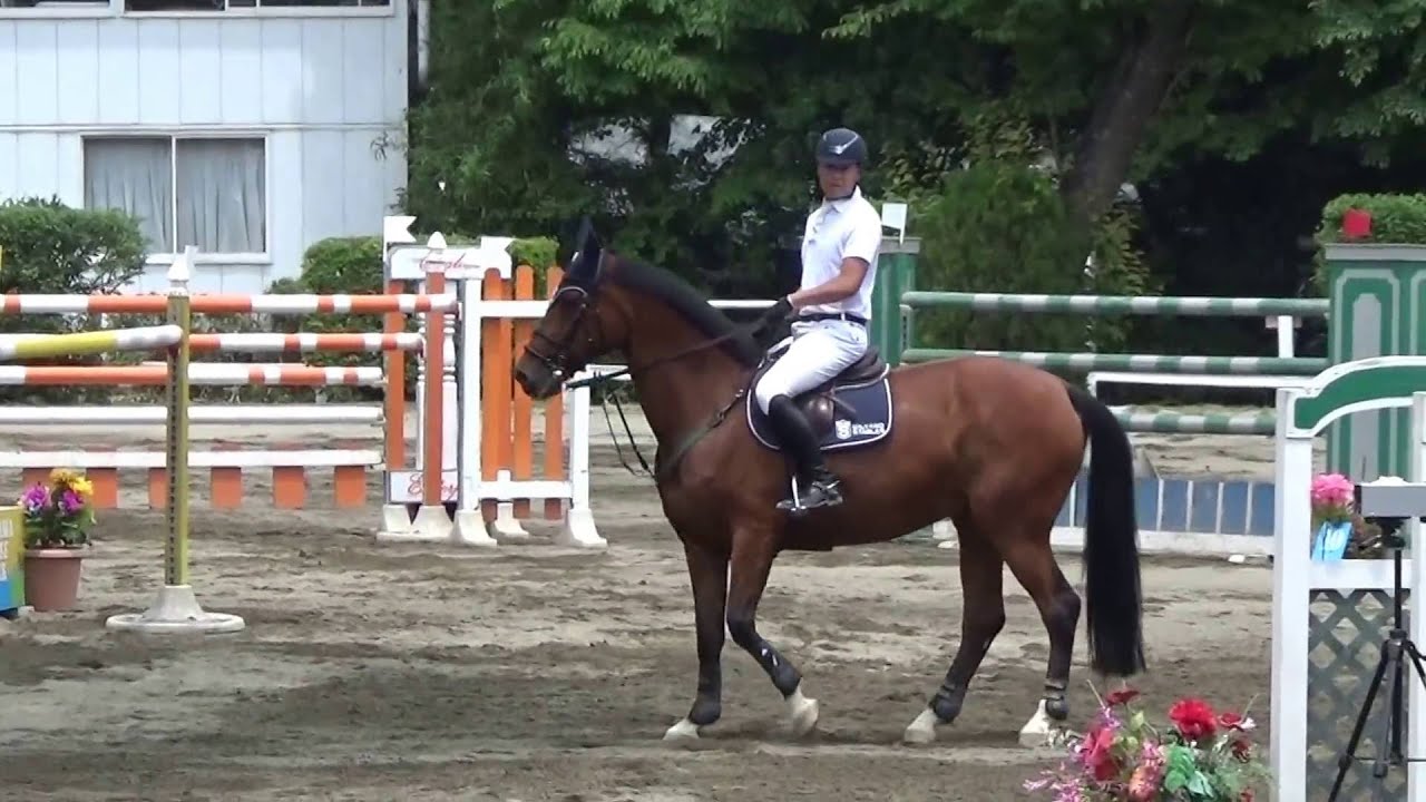 ZILVANA  CSI-W NASU