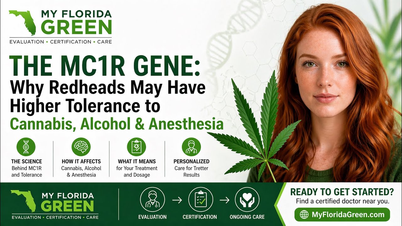 MC1R Gene Explained: Why Redheads May Have Higher Tolerance to Cannabis, Alcohol & Anesthesia (2026)
